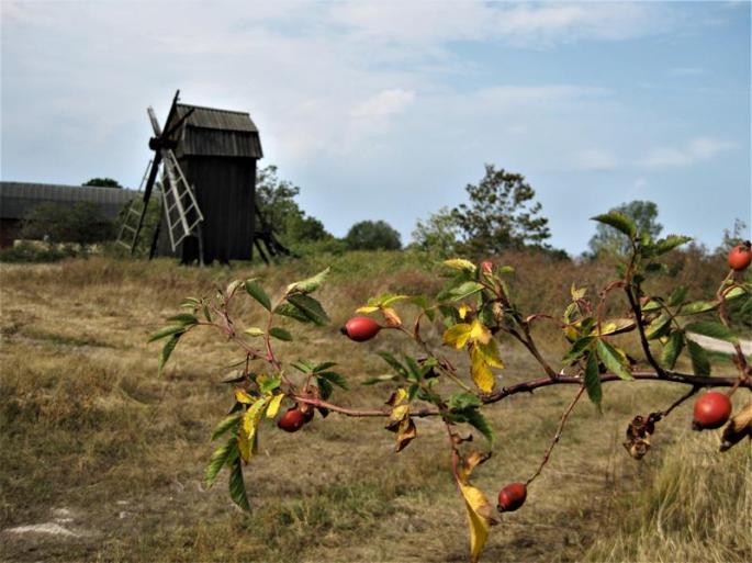 IMG_5908-Mühle Nr.3 (Copy)