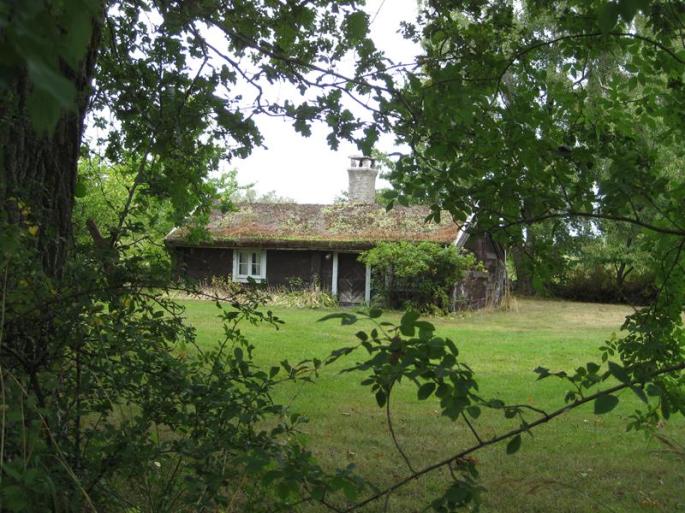 IMG_5935-Dach begrünt (Copy)