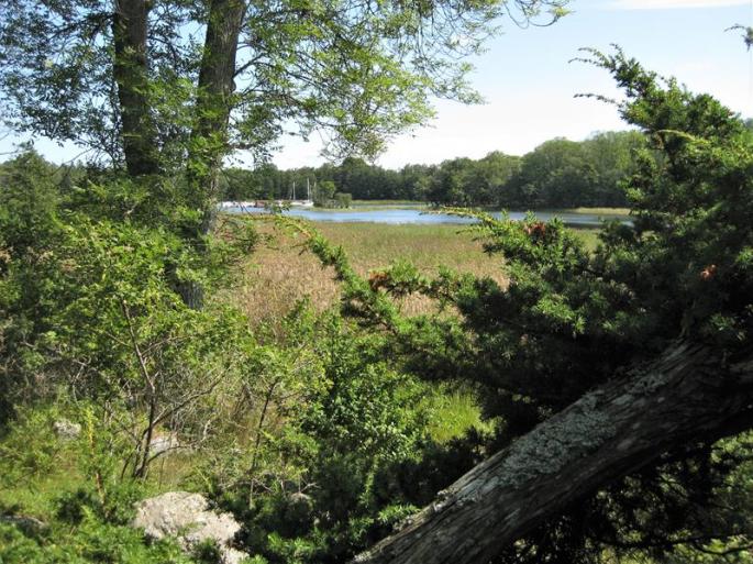 Waldpfad 2.Tag-3.8 (11) (Copy)