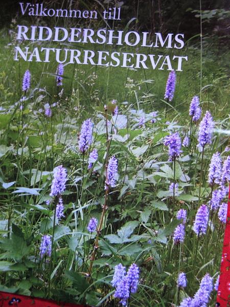 Waldpfad 2.Tag-3.8 (19) (Copy)