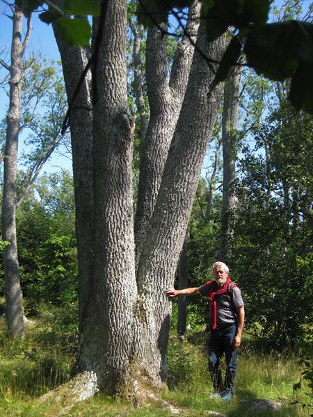 Waldpfad 2.Tag-3.8 (8) (Copy)