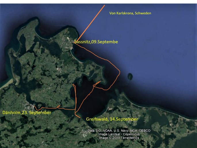 Reiseweg-wieder-in-Deutschland