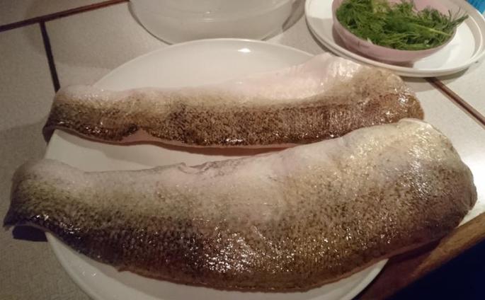 Zander!ganz frisch v.Fischer (Copy)